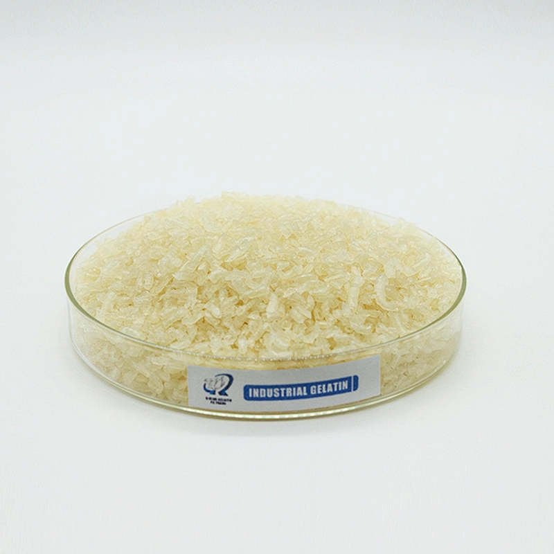 Halal Beef Bone Food Gelatin Bovine Gelatin for Candy Cakes